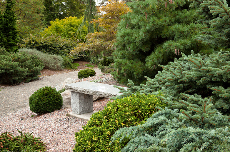 SSC Arboretum, United States